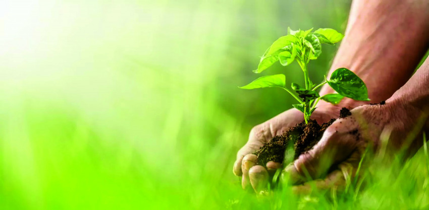 Handsity expressed 1536x753