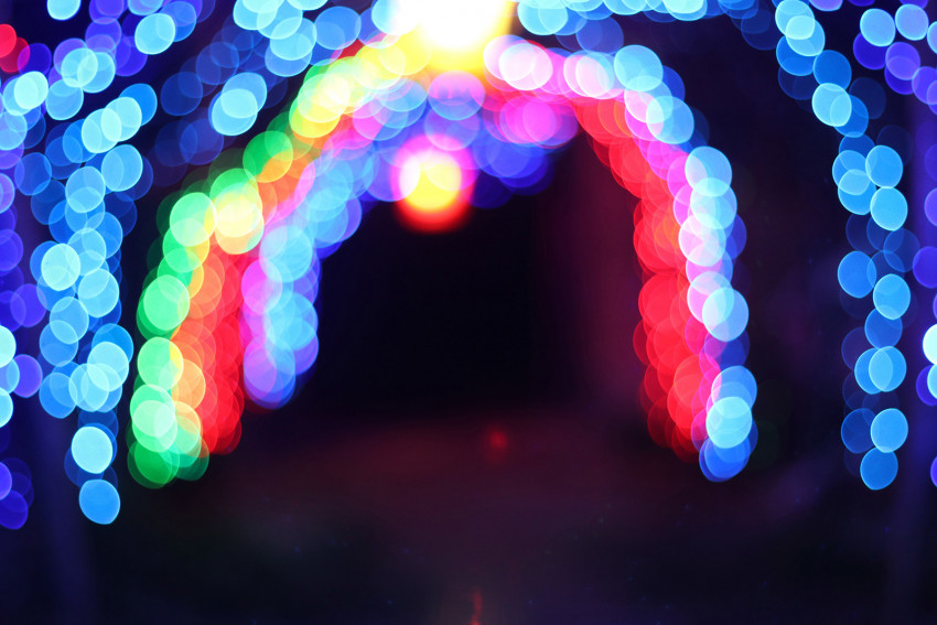 Blurred bokeh 456